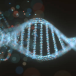 Why the Future of Synthetic Biology Depends on Understanding Life as a Distributed Economy, Not a Machine