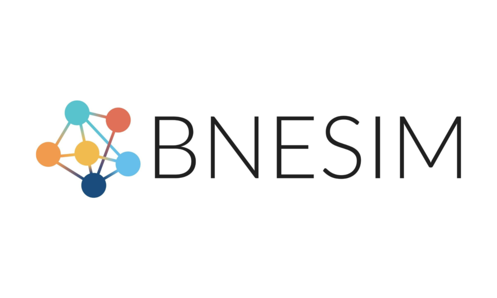 Stay Connected Anywhere: How BNESIM Is Reframing Global Travel Communication