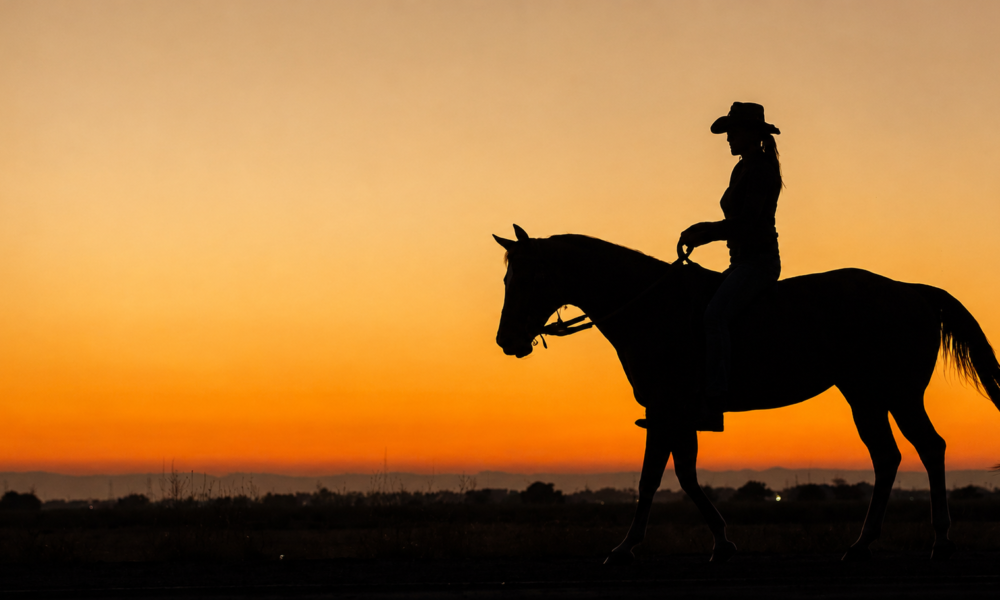Equine Therapy Gains Attention as Research Explores Human-Horse Connections