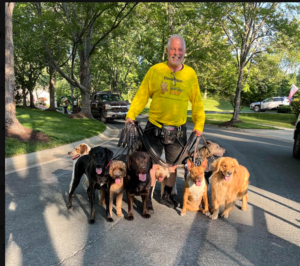How Community Happy Dogs Blends Pack Walks With Practical Handler Training